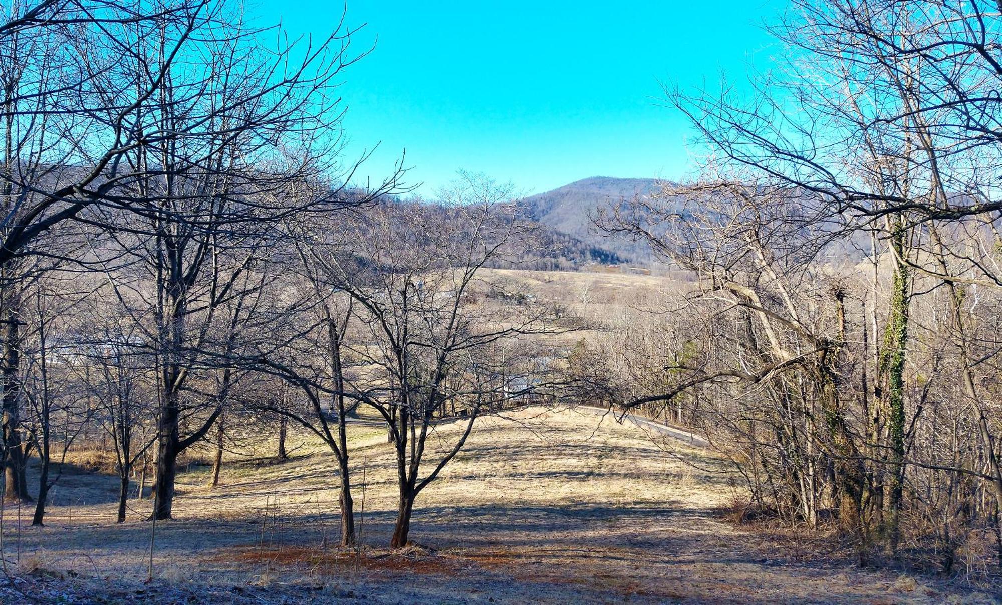 Graves Mountain Farm & Lodges Syria Bagian luar foto